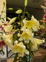 Foto: Dr. Peter Müller